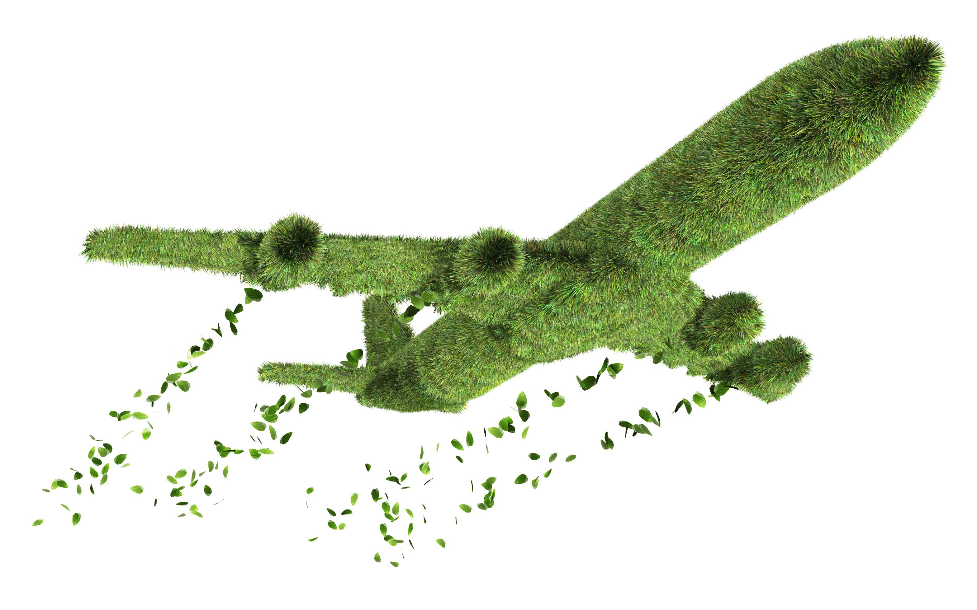 Grass Could Be The Answer To More Environmental Flying