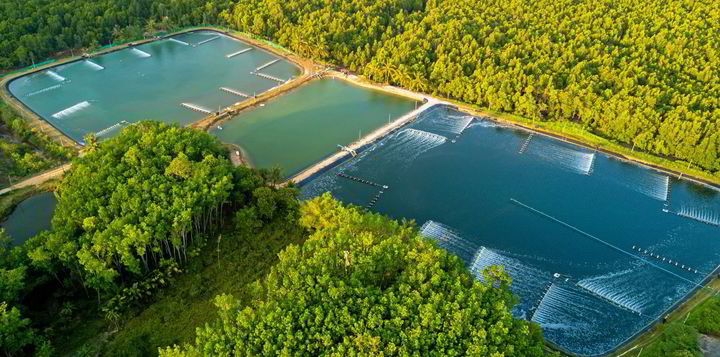With new technology and techniques, the global shrimp farming industry gets a second ...
