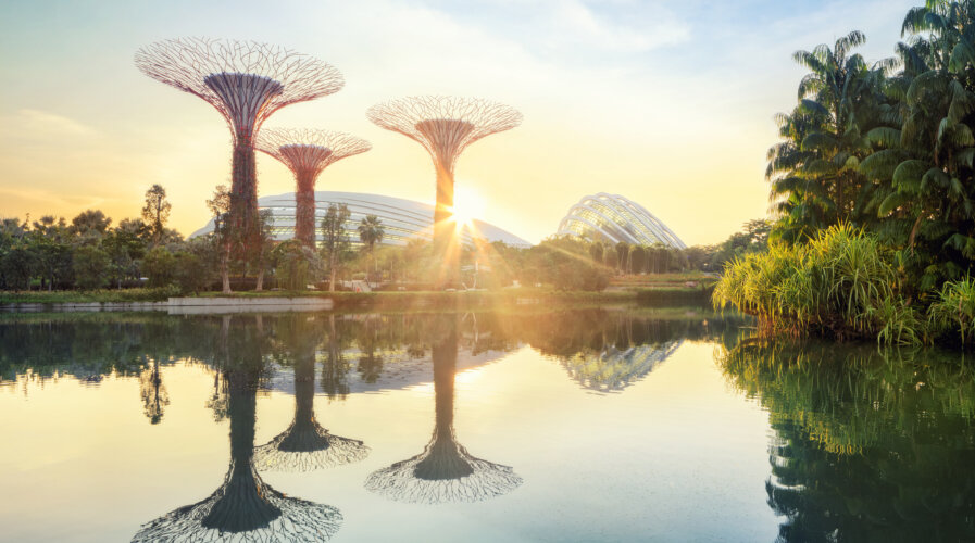 Navigating the intersection of sustainability and technology in Singapore